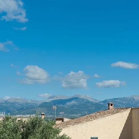Voltor * Costitx (Mallorca)